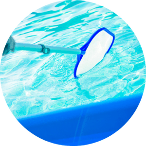 Skimmer in pool